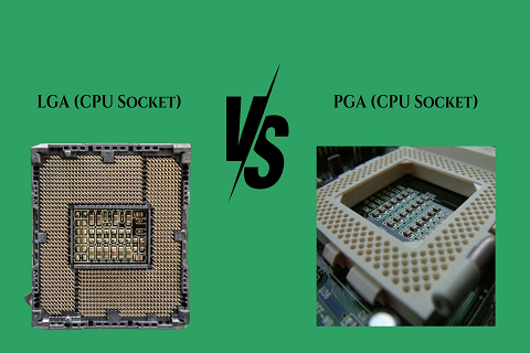 LGA vs. PGA: What's the Difference and Which is Better?