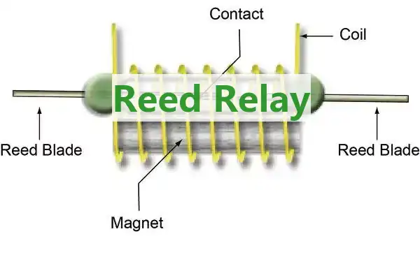 What is a Reed Relay?