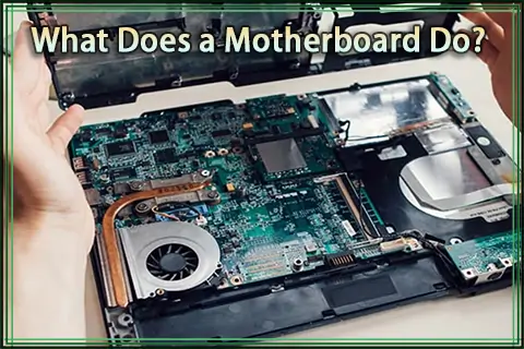 What Does a Motherboard Do? Functions, Components and Types